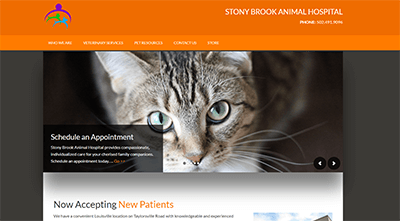 stony brook animal hospital website